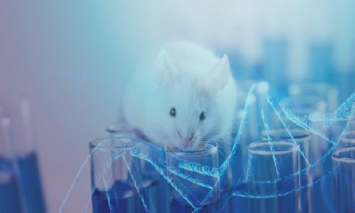 Animal Regenerative Medicine